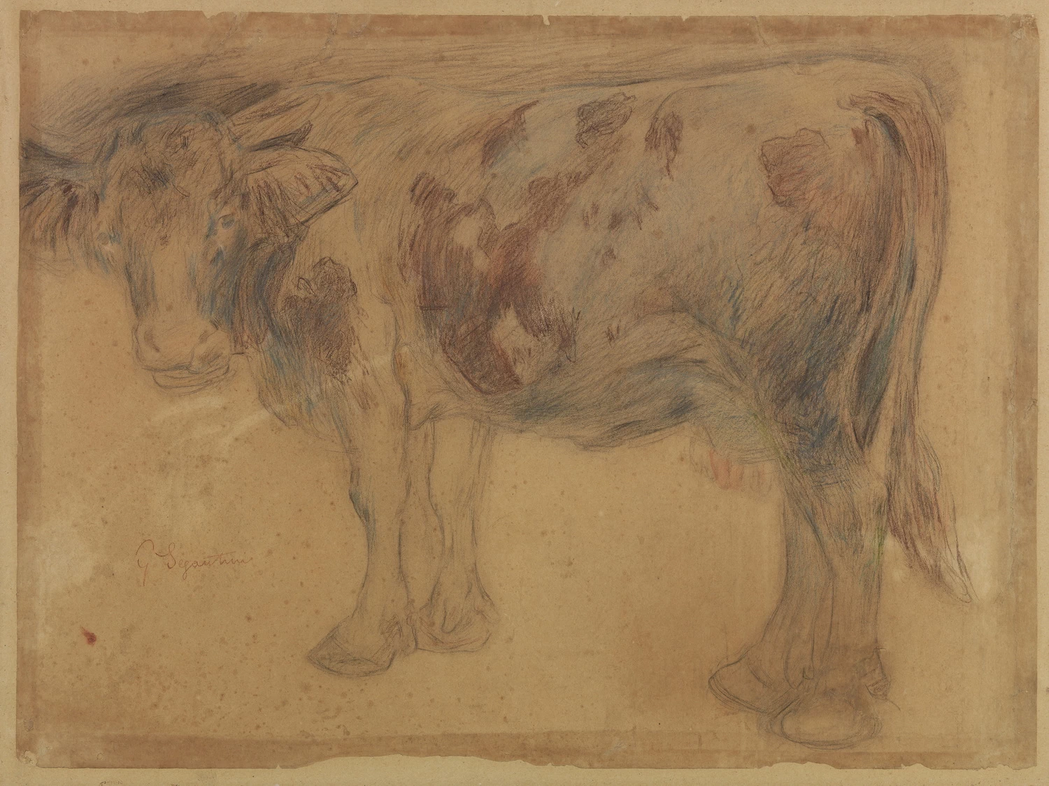 Vacca - MART, Museo di Arte Moderna e Contemporanea di Trento e Rovereto